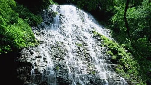 高标准高标准自动化